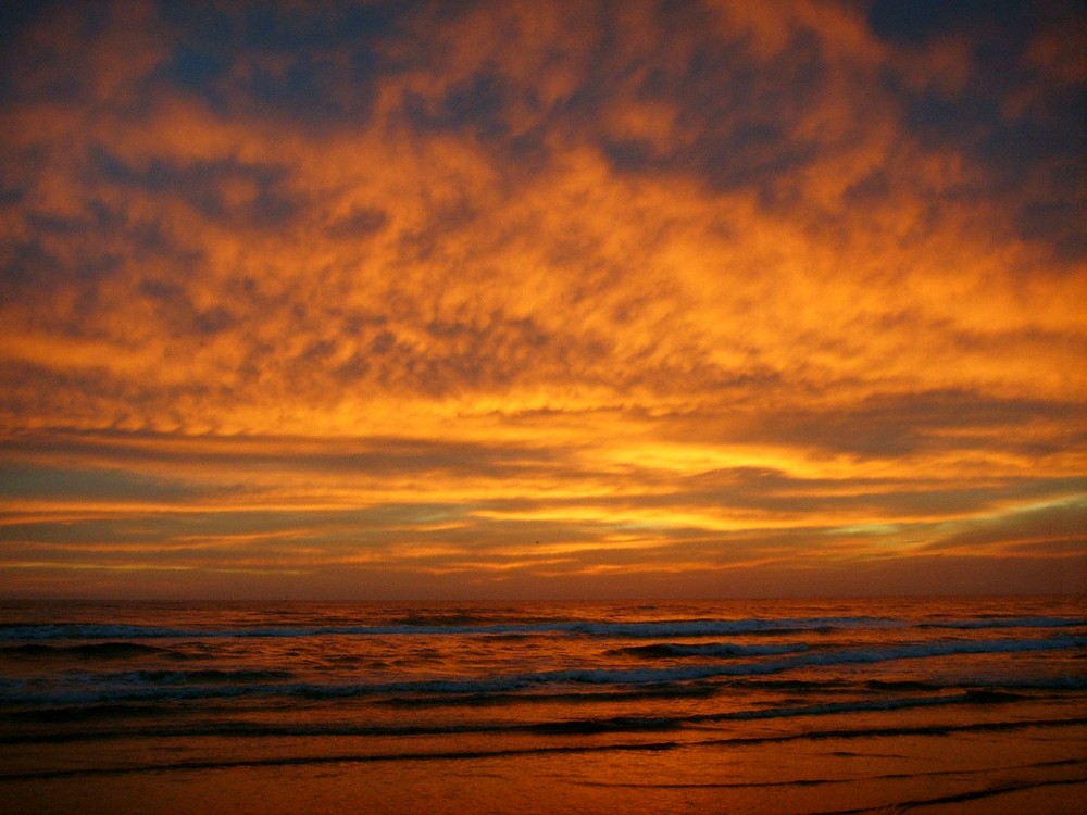 Vejers Strand in Dänemark, Juli 2007