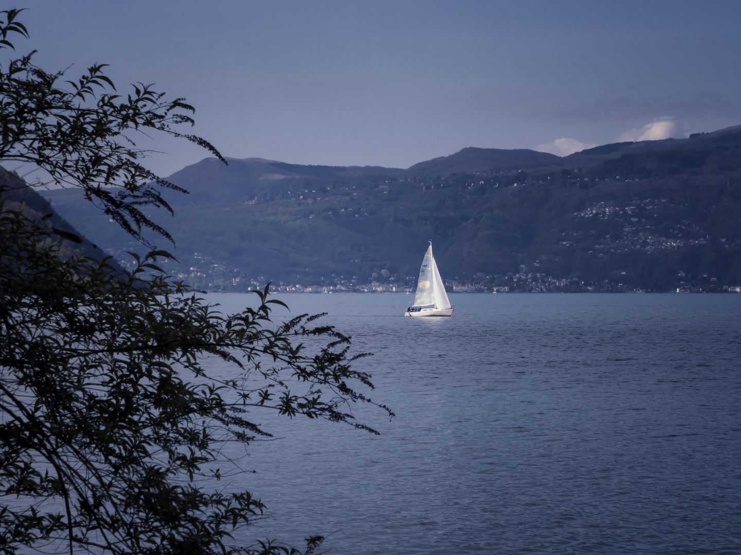 Vela nell'azzurro