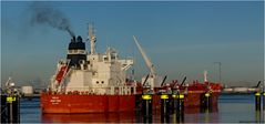 VELA / Oil/Chemical / Tanker / Calandkanal / Rotterdam