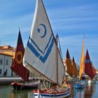 Vele nel porto canale di Cesenatico 2