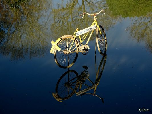 "Véleau de mer sans selle"