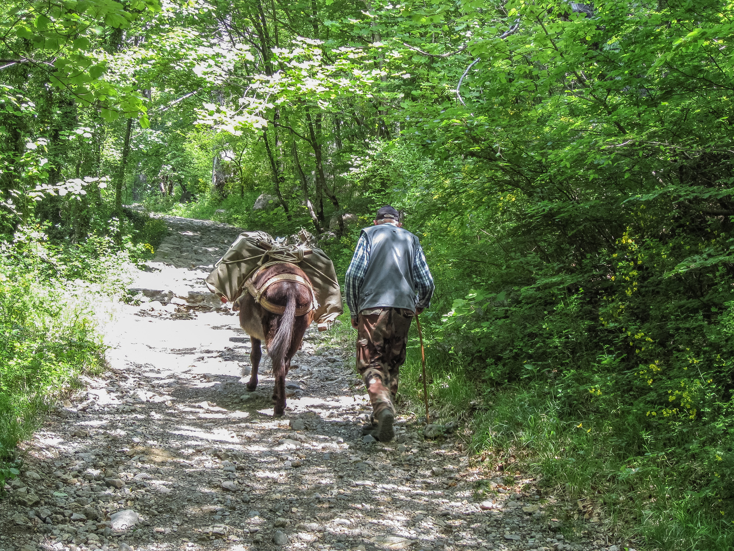 Velebit109_05_08-0401