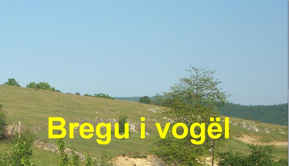 Velekinc Bregu i Vogël