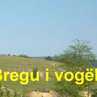 Velekinc Bregu i Vogël