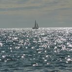 velerito desde la playa de puerto madryn CHUBUT -PATAGONIA