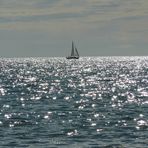 velerito desde la playa de puerto madryn CHUBUT -PATAGONIA