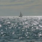 velerito desde la playa de puerto madryn CHUBUT -PATAGONIA