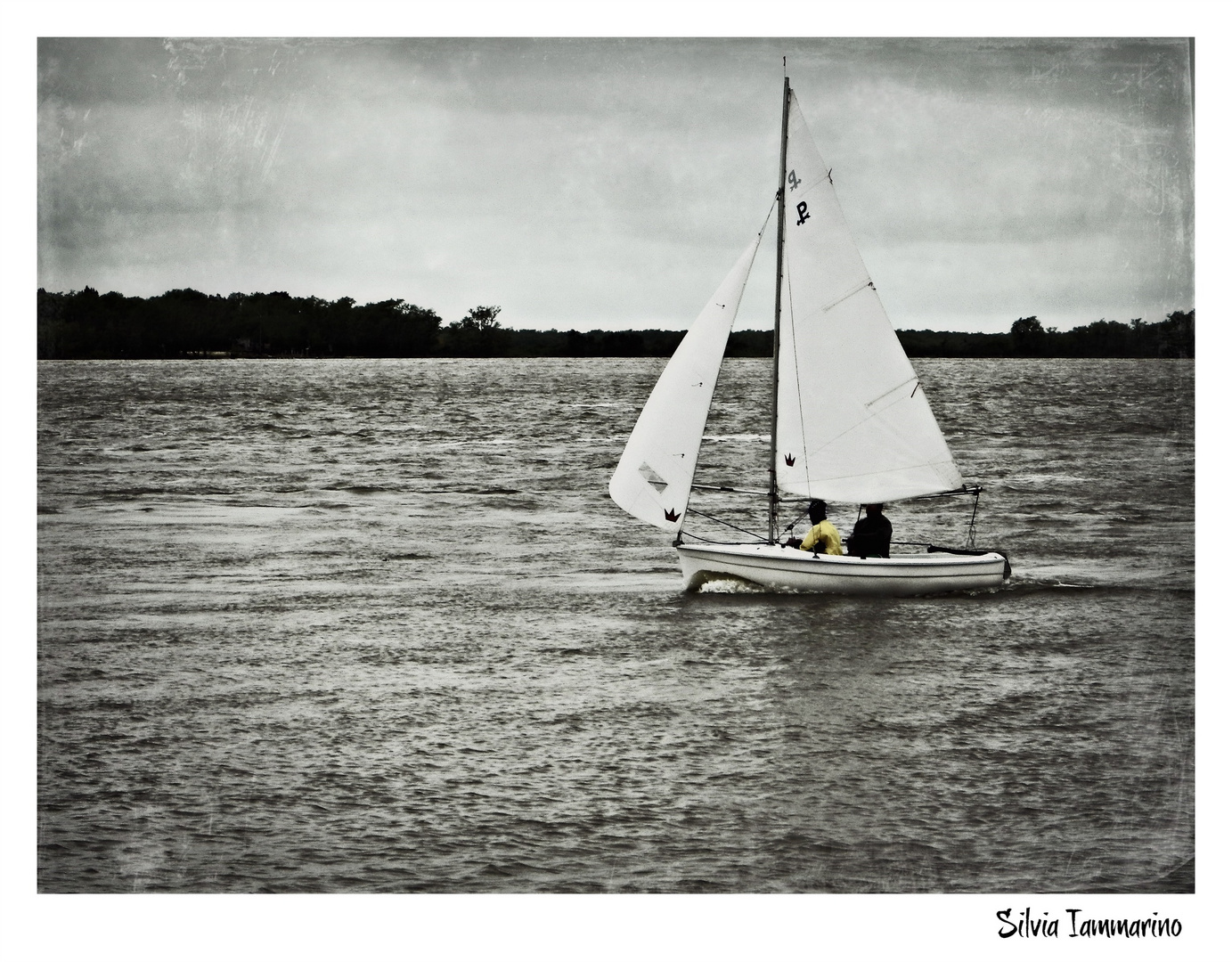 Velero en el Paraná