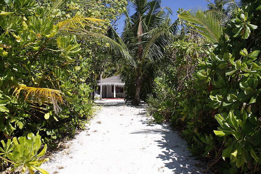 Velidhu Island Resort - North Ari Atoll