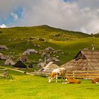 Velika Planina #4