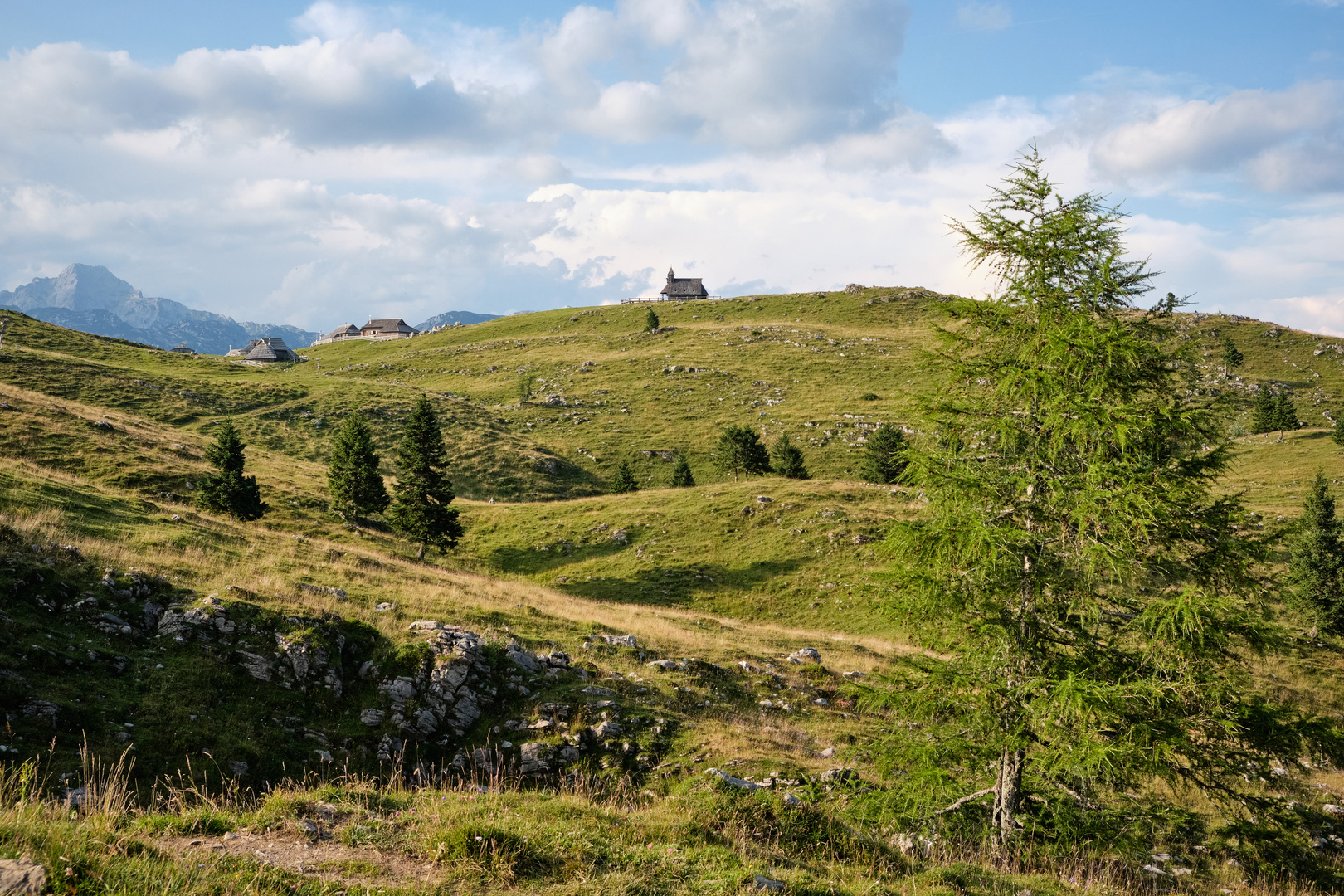 Velika planina