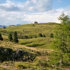 Velika planina