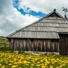 Velika Planina die Hütten