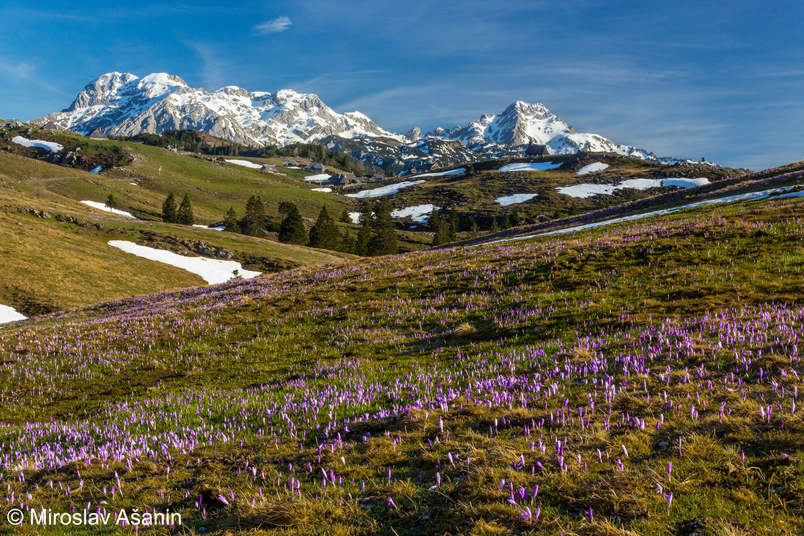 VELIKA PLANINA