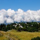 Velika planina in Slovenija