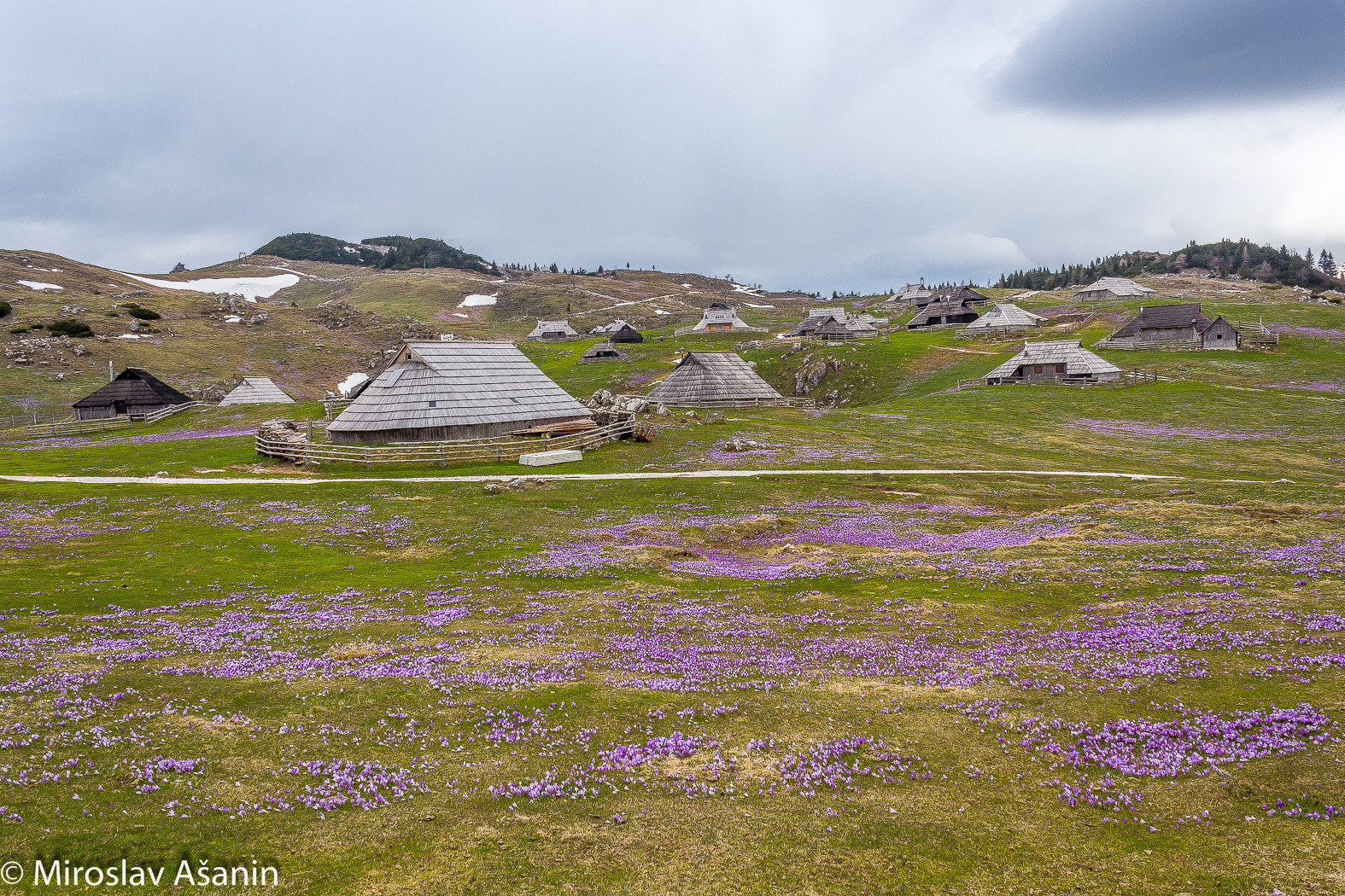 Velika planina slovenia