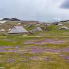 Velika planina slovenia