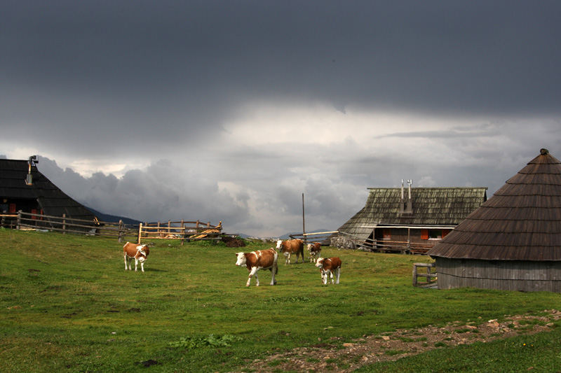 Velika planina - Slovenia