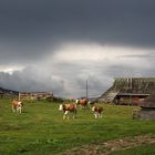 Velika planina - Slovenia