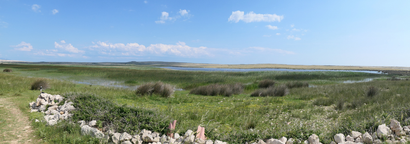 Veliko blato auf der Insel Pag