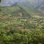 vellezas colombianas