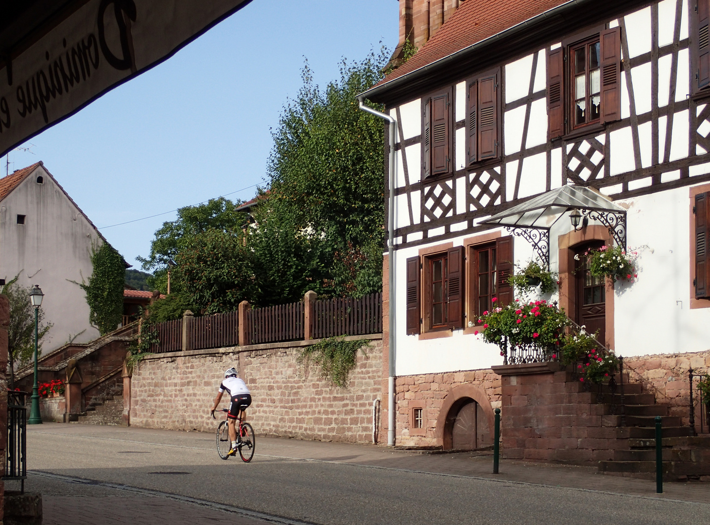 Vélo Alsace.