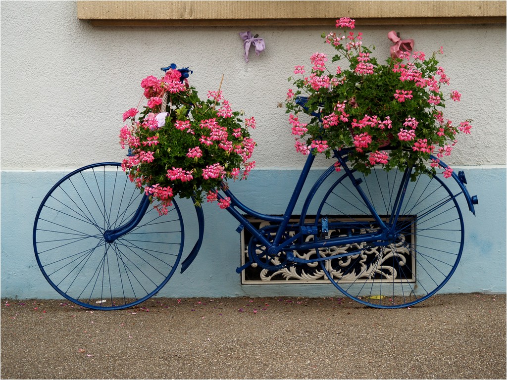 Vélo bleu