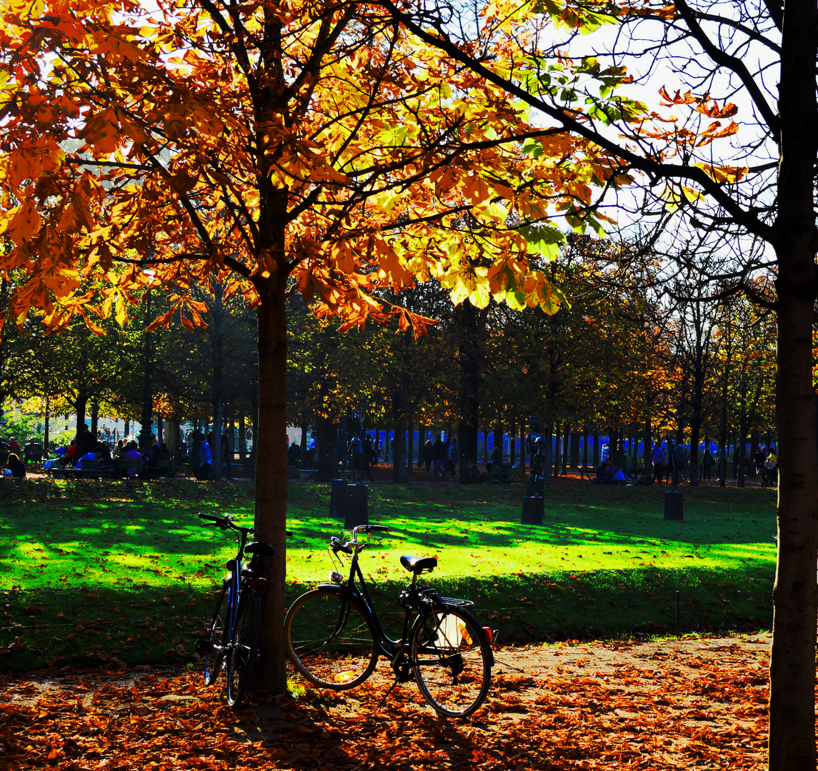 velo d'automne