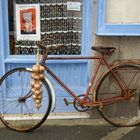 Vélo de Roscoff...