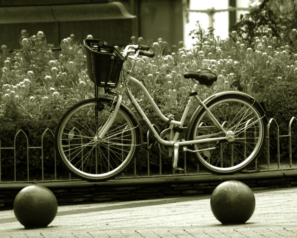 velo des champs ou des villes