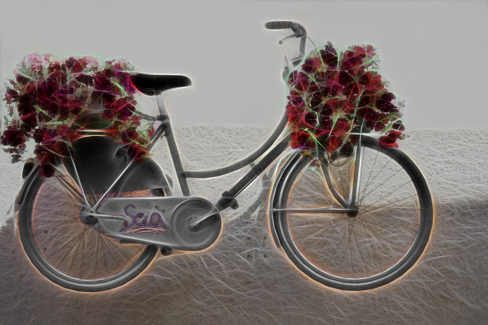 Vélo et fleurs.