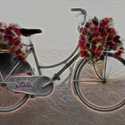 Vélo et fleurs.