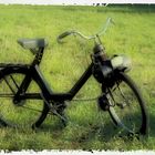 VELO SOLEX - memories -