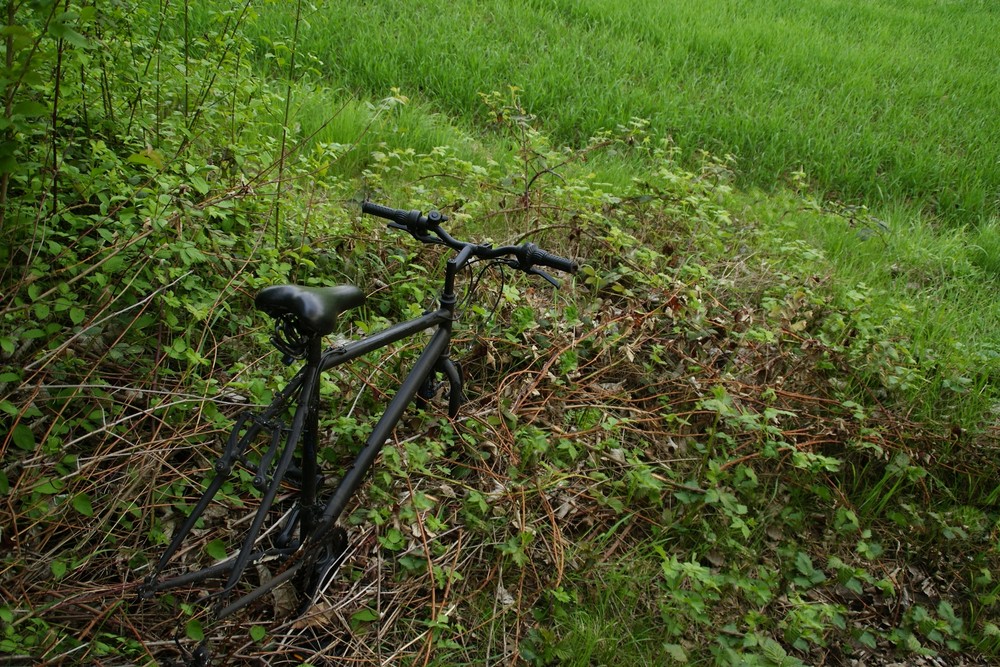 vélocipède