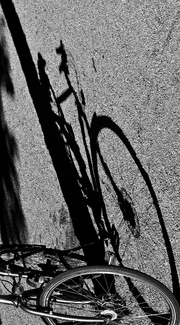 Veloschatten...