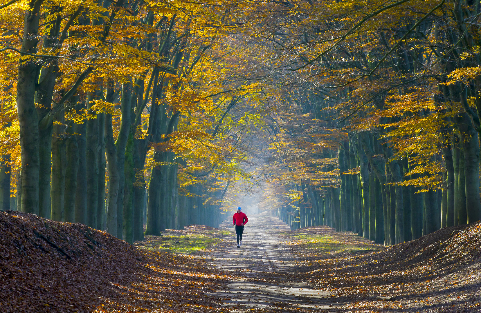 veluwe herfst