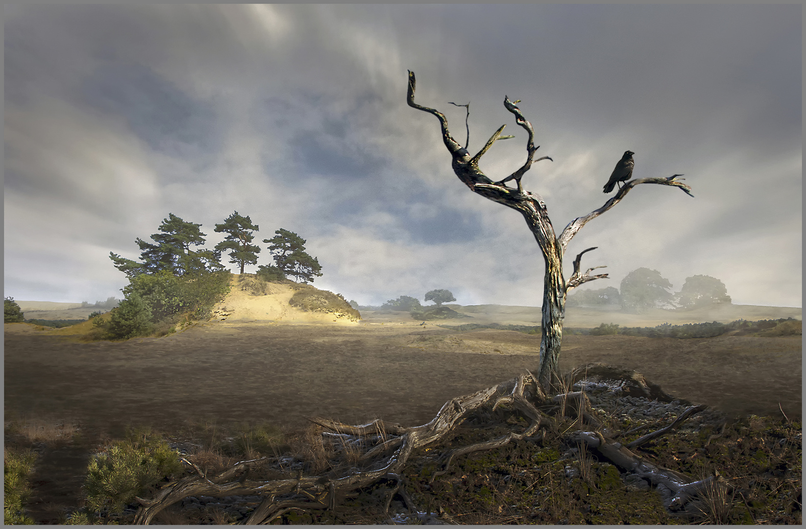 veluwe landschap