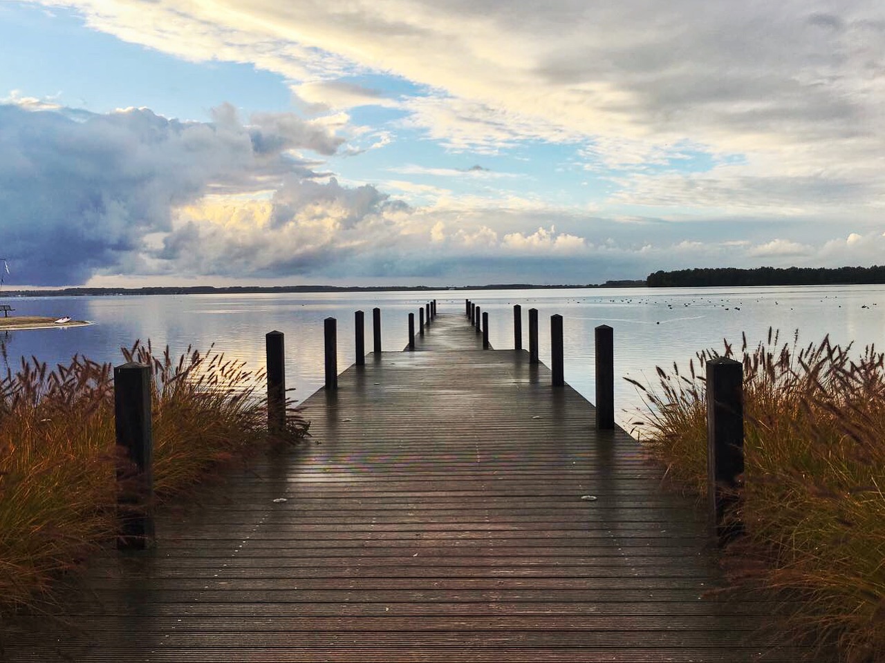 Veluwemeer im Herbst