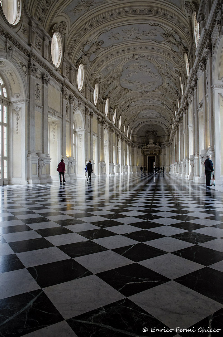 "Venaria Reale"