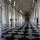 "Venaria Reale"