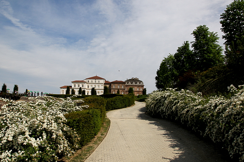 Venaria Reale ( To ) La Reggia ....2