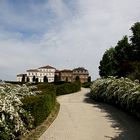 Venaria Reale ( To ) La Reggia ....2