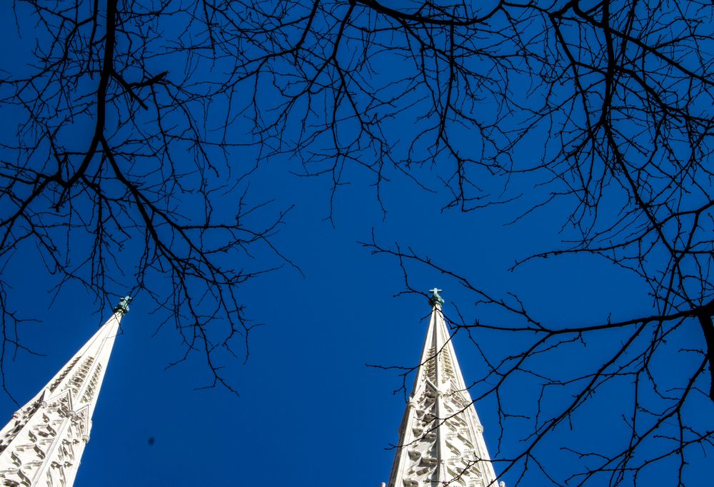 Venas en el cielo