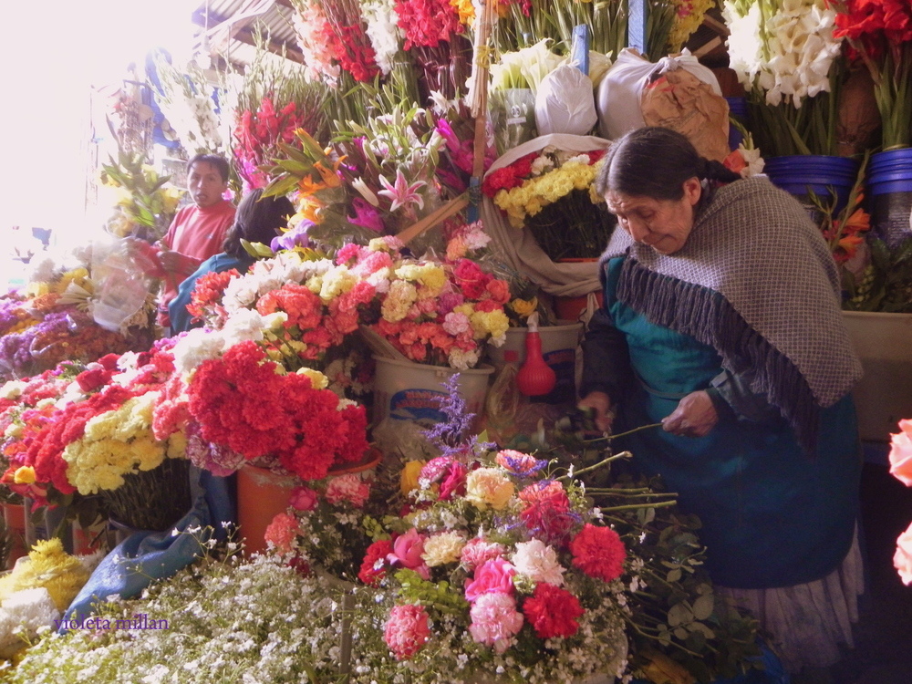 VENDEDORA DE FLORES