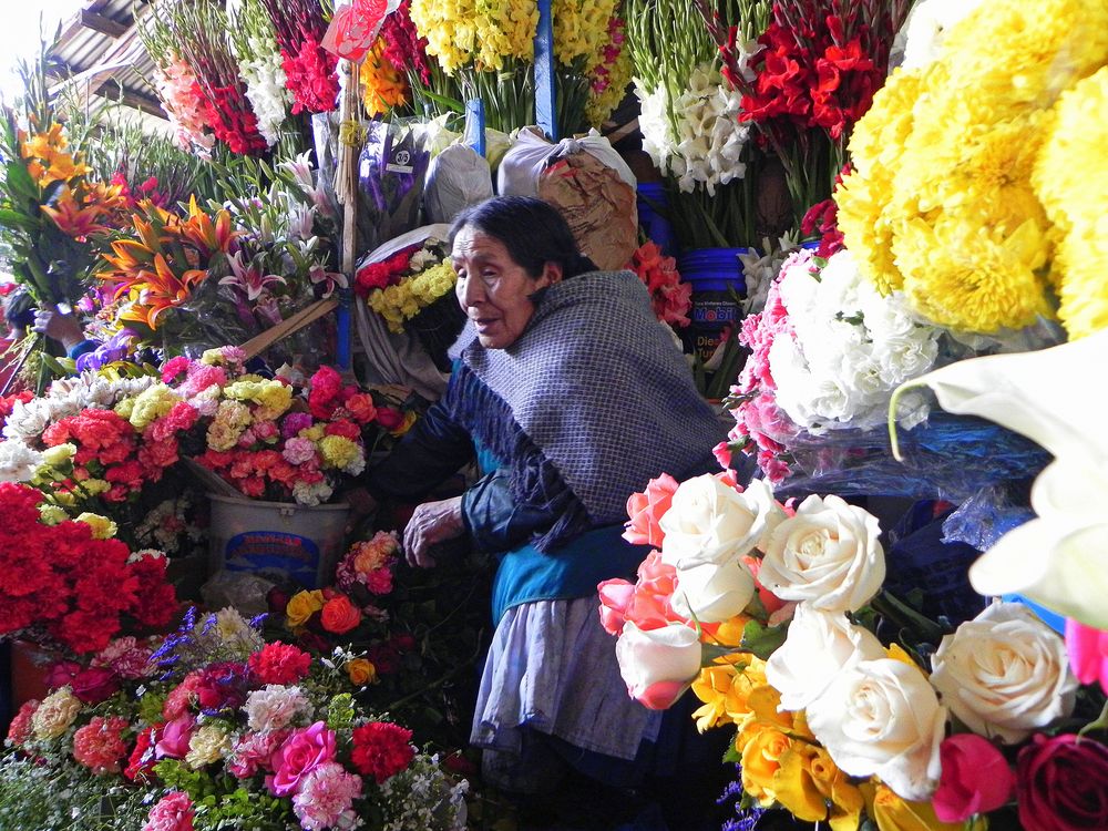 VENDEDORA DE FLORES