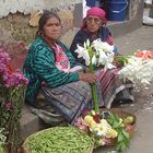 Vendedoras de Flores