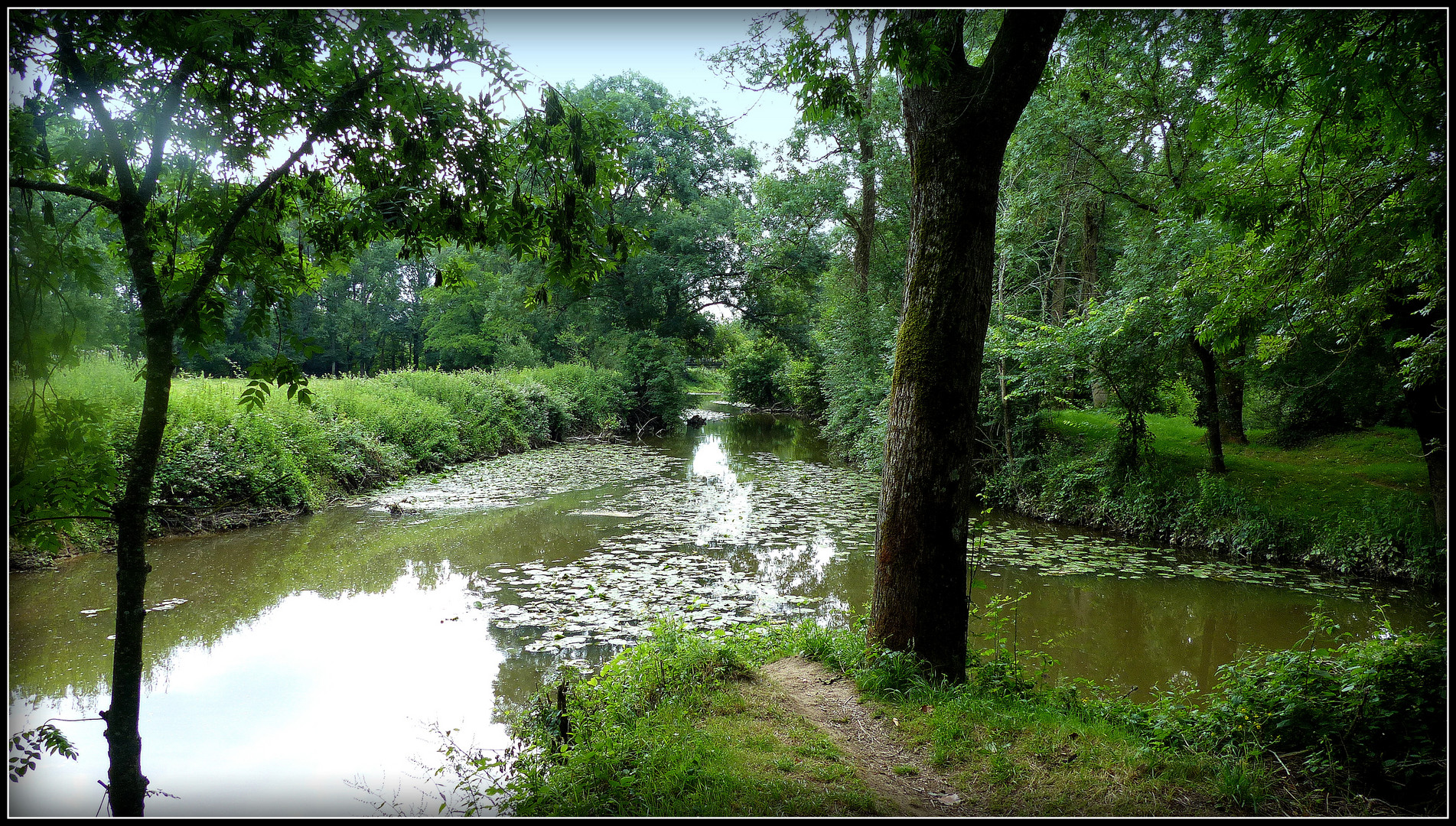 Vendée - Juillet 2021