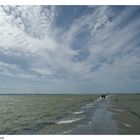 Vendée, le passage du Gois