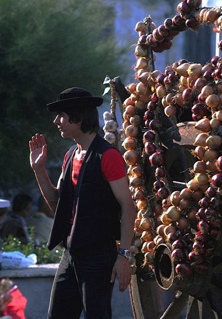 VENDEE POITOU CHARENTE - AU MARCHE DE ST GILLEScoeur d'oignons