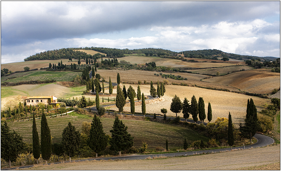 Vendemmia finita